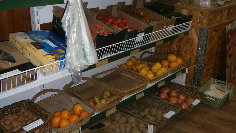 Fruta, verdura y hortalizas de temporada ecológicas